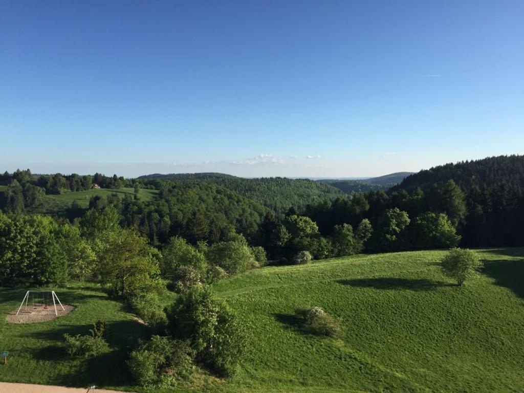 Ferienwohnung Weitblick 274 Hohegeiß Zewnętrze zdjęcie
