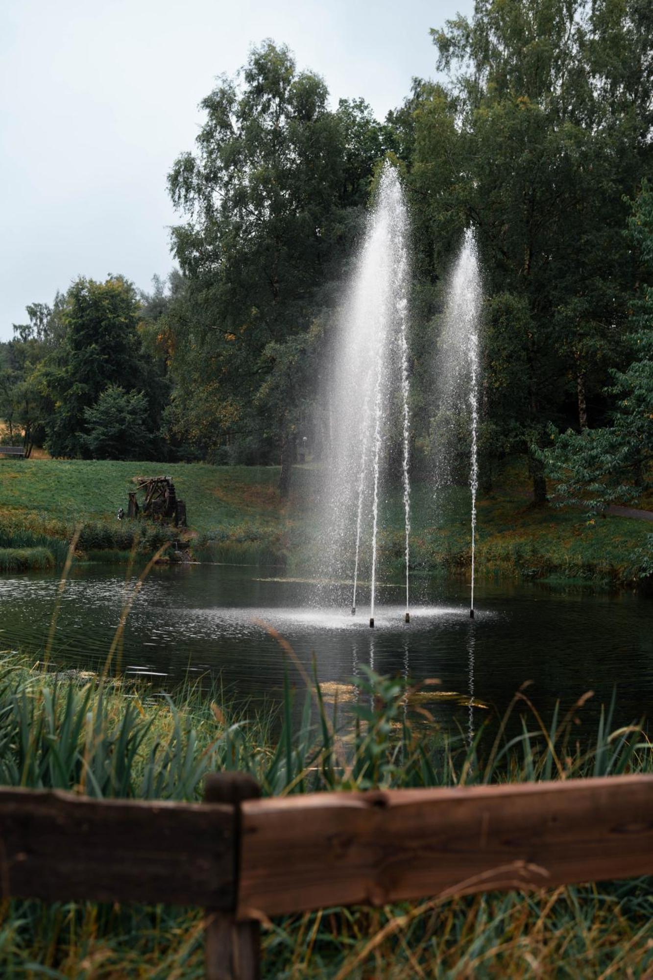 Ferienwohnung Weitblick 274 Hohegeiß Zewnętrze zdjęcie